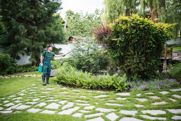Best Best Pest Control Companies  in Tonopah, NV