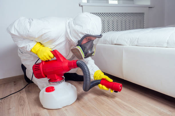 Best Best Pest Control Companies  in Tonopah, NV