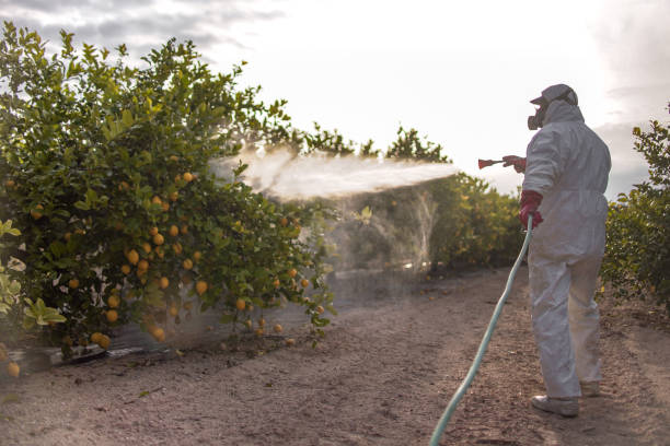 Best Mosquito Control Services  in Tonopah, NV