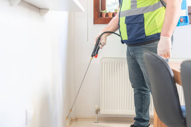 Best Wasp Removal Services  in Tonopah, NV