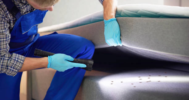 Best Rat Extermination Near Me  in Tonopah, NV