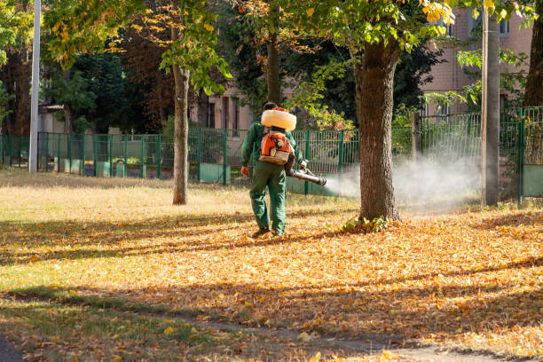 Best Pest Control Near Me in Tonopah, NV